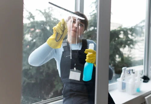 Nettoyage de vitres intérieures et extérieures à Pontarmé